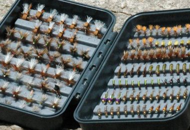 Entomology and Tenkara: Is it worth it?